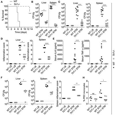 The Use of CRISPR/Cas9 Gene Editing to Confirm Congenic Contaminations in Host-Pathogen Interaction Studies